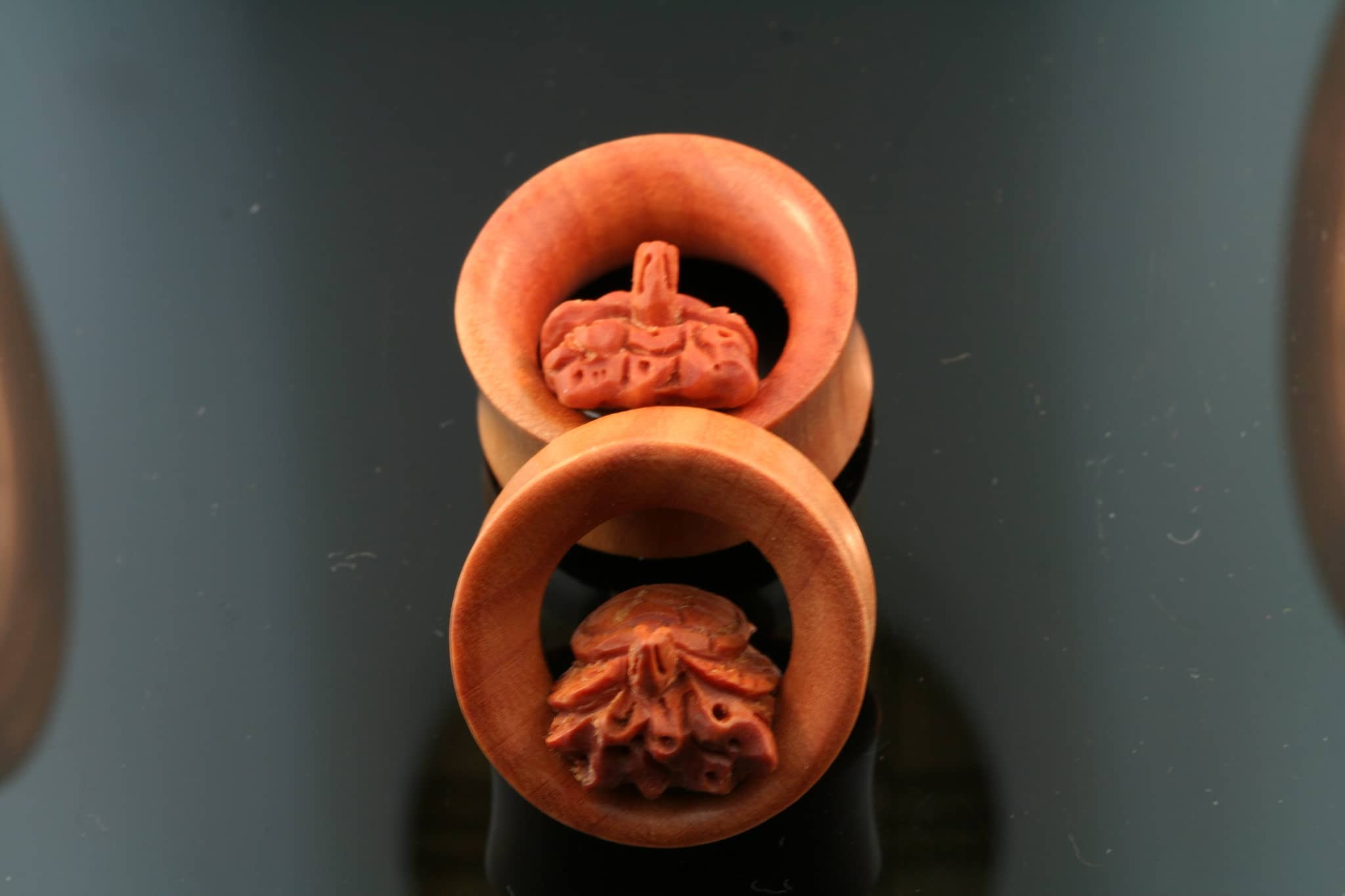 Sawo Wood Turtle Plugs/Eyelets