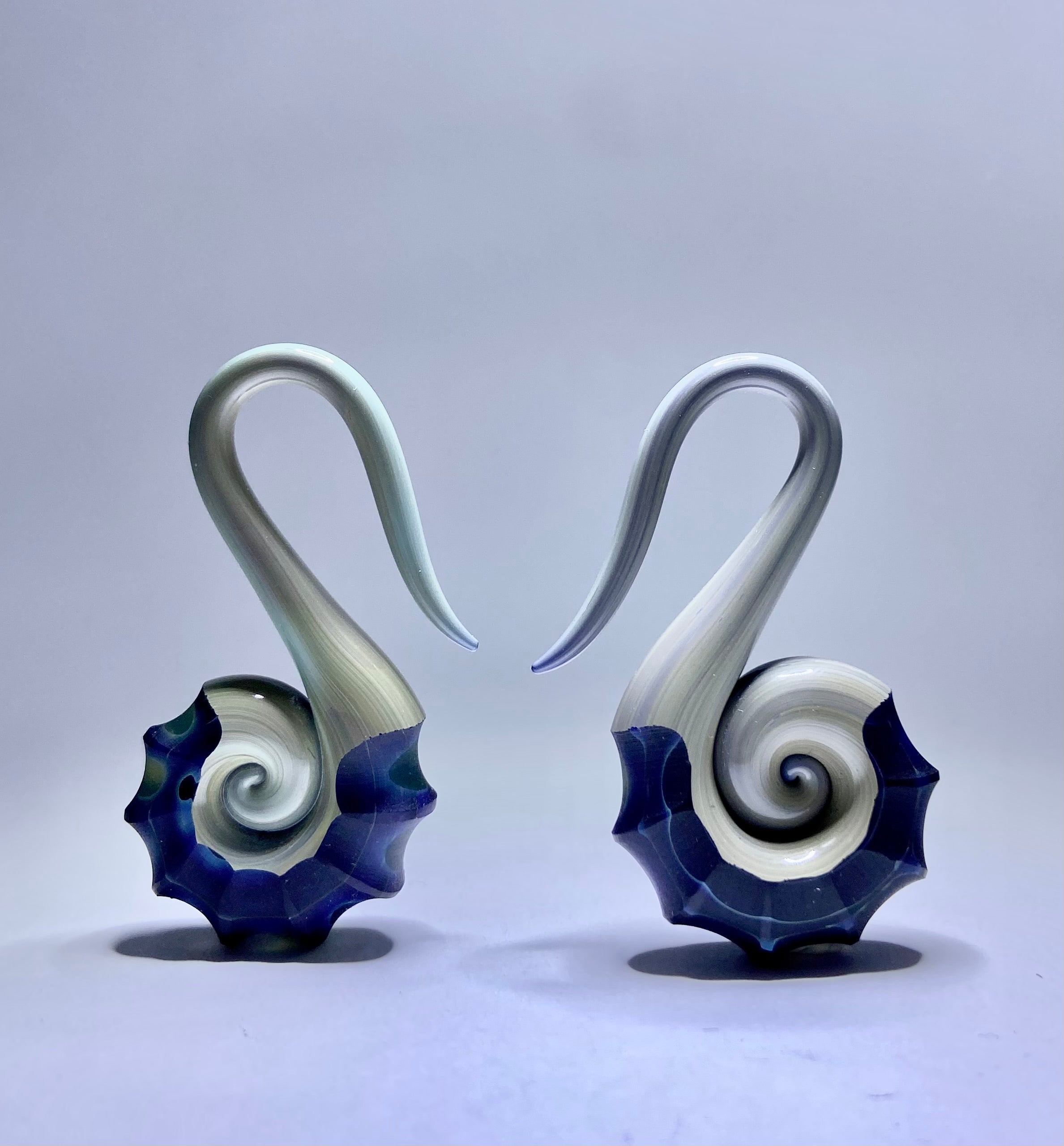 Nautilus Weights by Gorilla Glass