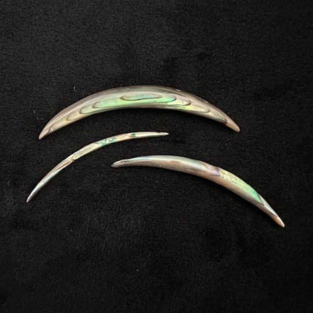 Abalone Shell Tusks