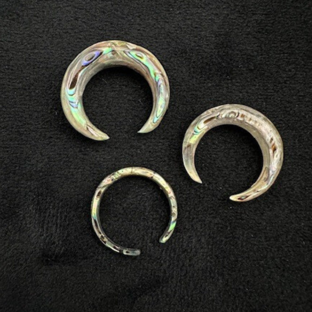 Abalone Shell Pinchers