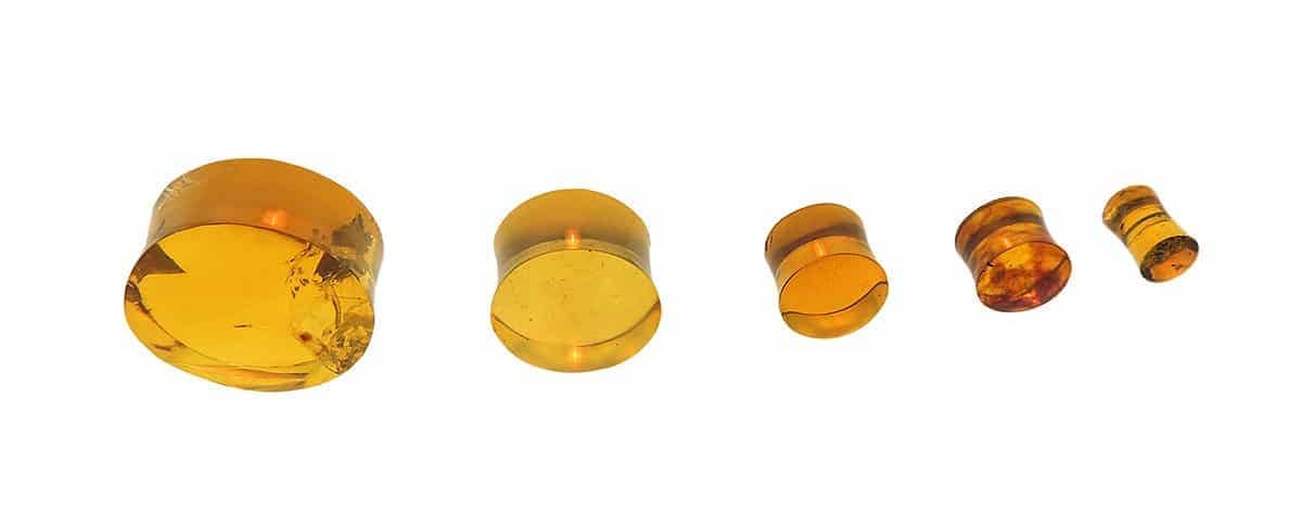 Double Flare Genuine Amber Plugs - Laughing Buddha Studios SoCal