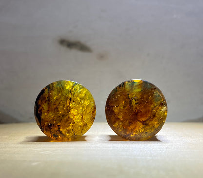 Double Flare Genuine Amber Plugs
