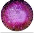 Dichroic Lagrimas in Bling and Mini by Gorilla Glass - Laughing Buddha Studios SoCal